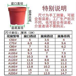 【花卉營養(yǎng)杯價格】最新花卉營養(yǎng)杯