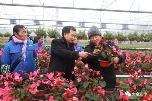 2019年全國(guó)文化科技衛(wèi)生 三下鄉(xiāng) 江西分會(huì)場(chǎng)集中示范活動(dòng)在大余舉行