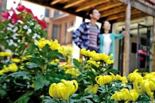 養(yǎng)花賞花 有益健康長(zhǎng)壽