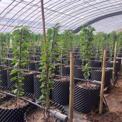 園藝花卉控根器工廠(chǎng)直發(fā) 農(nóng)用種植控根器 輝門(mén)果樹(shù)育苗種植控根器銷(xiāo)往湖南