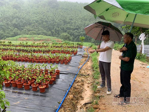 護(hù)航項(xiàng)目落地,共繪古水鎮(zhèn)鄉(xiāng)村振興美麗畫(huà)卷