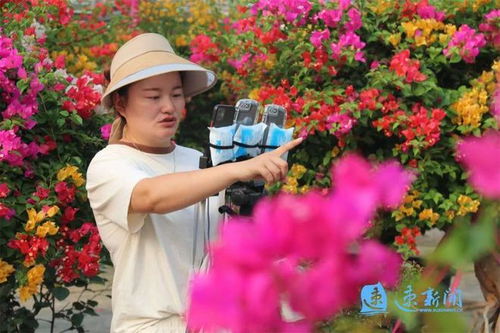 沭陽查辦花木種苗領域案件317起